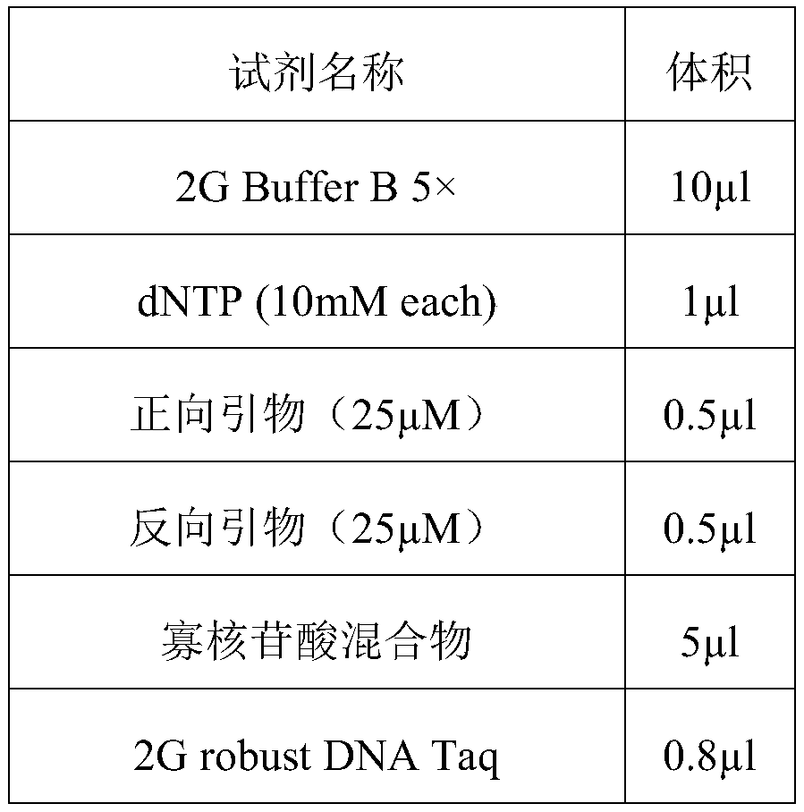 Building method and application of deafness related gene library