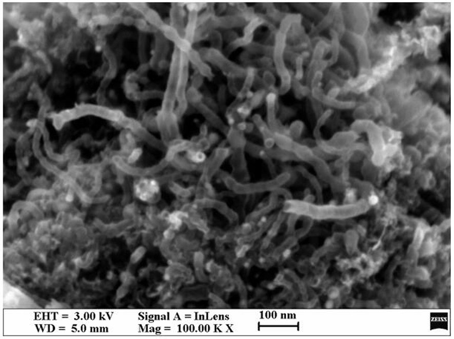 Preparation method of nitrogen-doped porous carbon/carbon nanotube composite with interpenetrating network structure