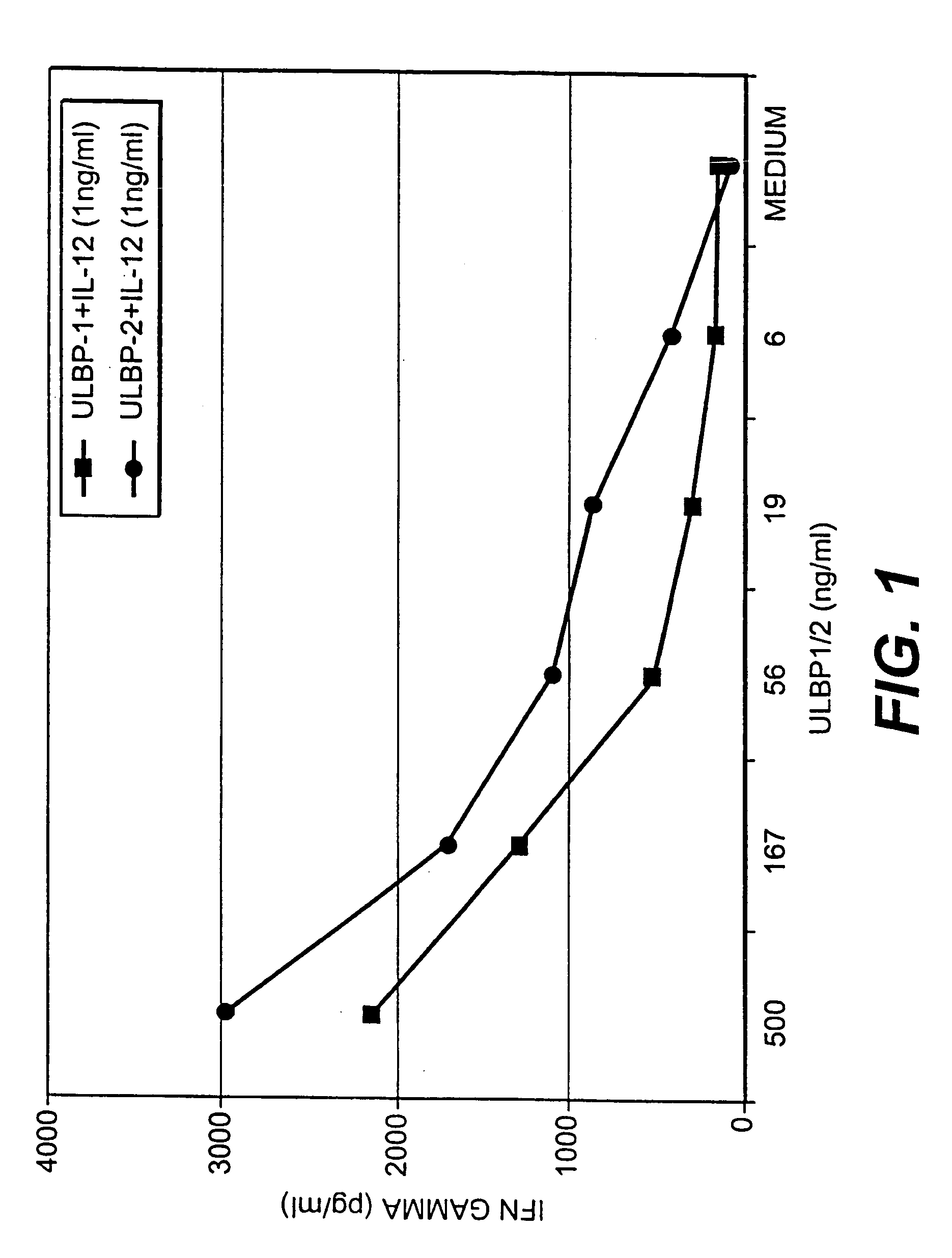 ULBP antibodies