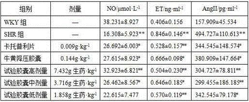 Traditional Chinese medicine preparation for preventing and treating hypertensive diseases and method for preparing traditional Chinese medicine preparation