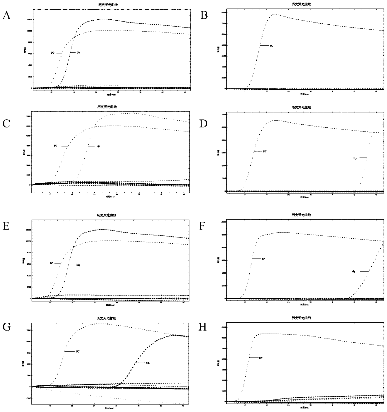 Method for detecting genital tract mycoplasmas based on loop-mediated isothermal amplification and micro-fluidic chip