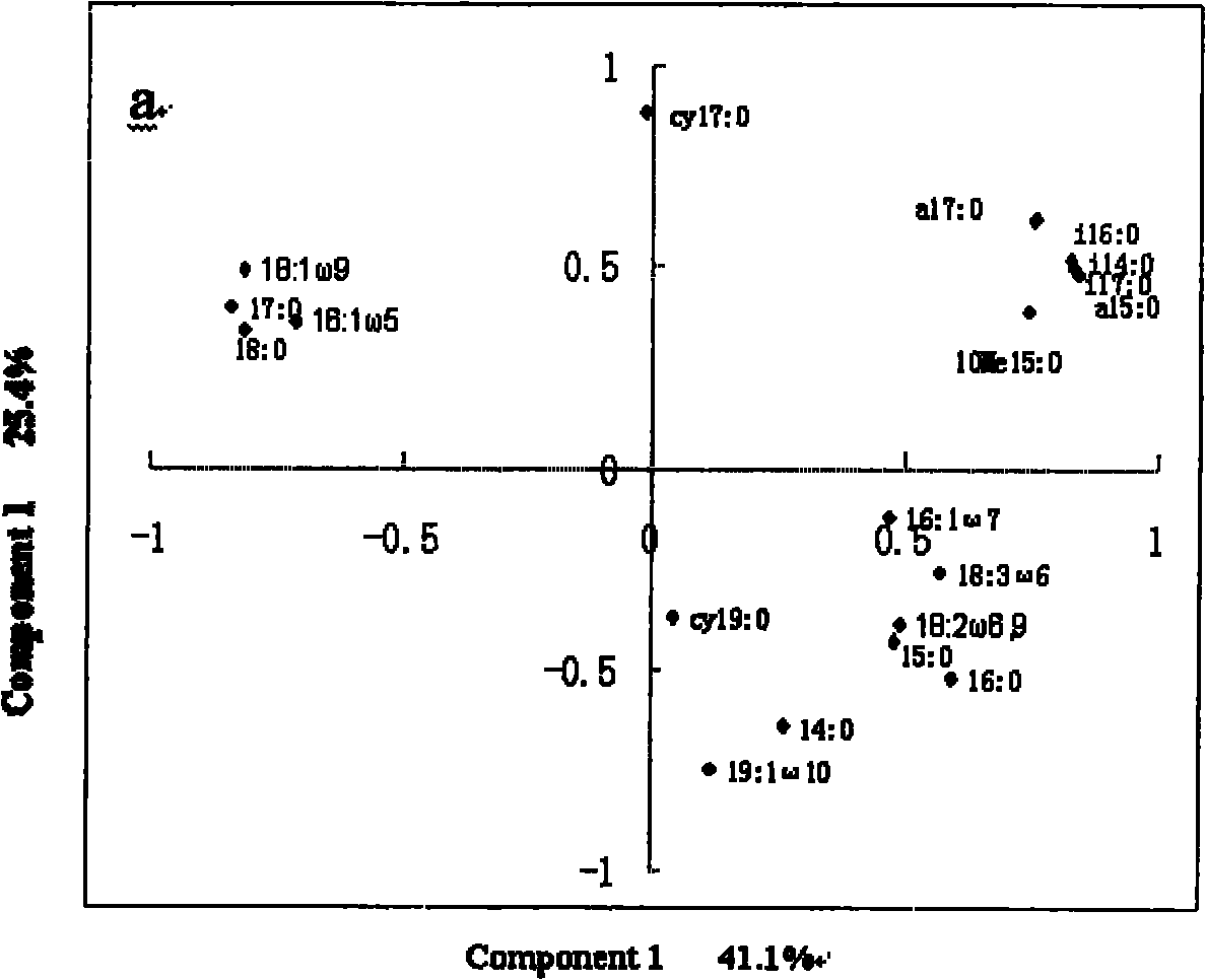 Method for quickly and simply analyzing microbial community structure of yeast for traditional brewage