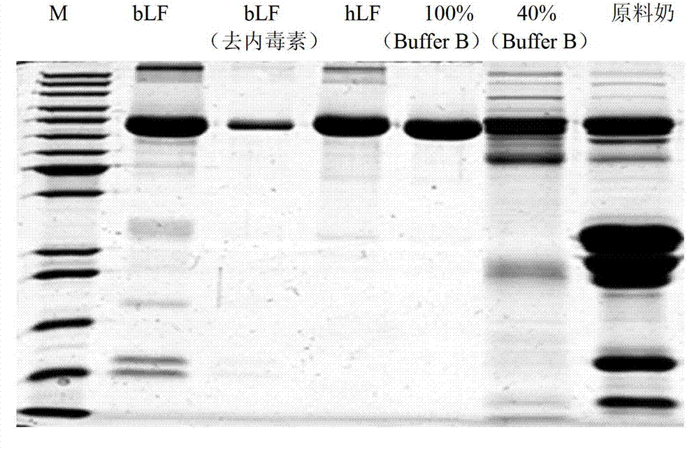 Product for improving iron deficiency anemia and preparation method thereof