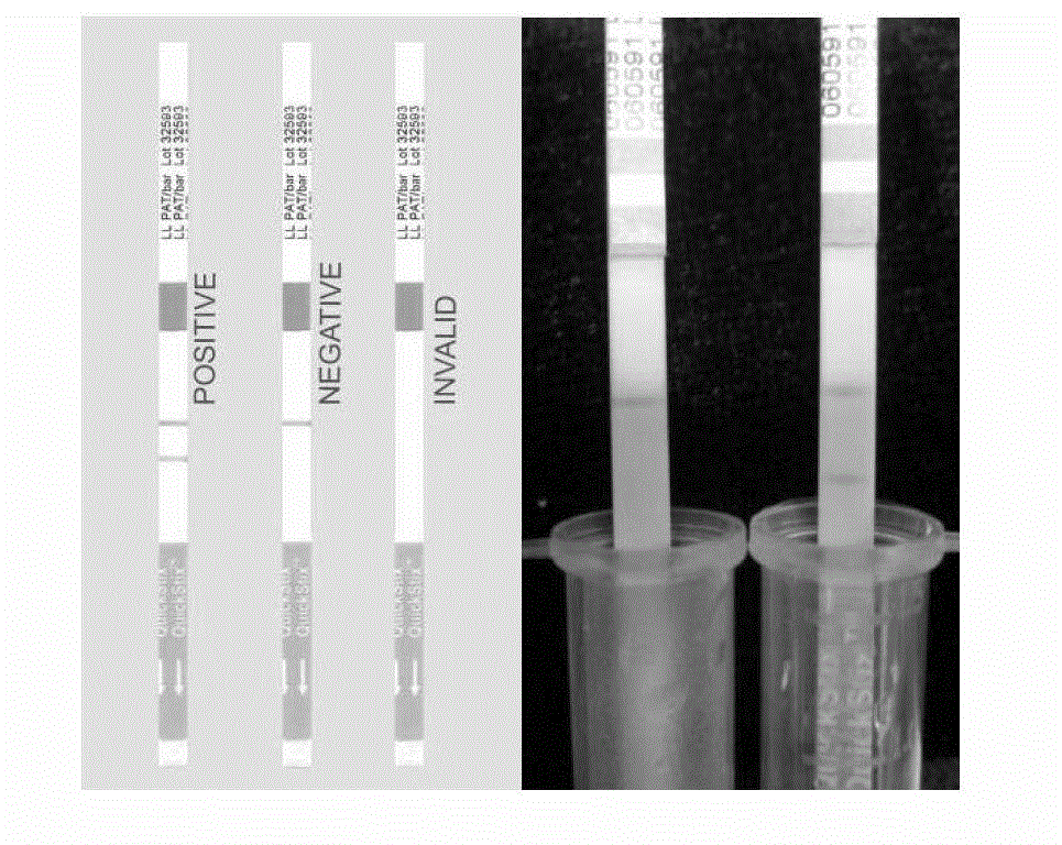 Method for cultivating starch-content-increased transgenic plant through multi-gene transformation