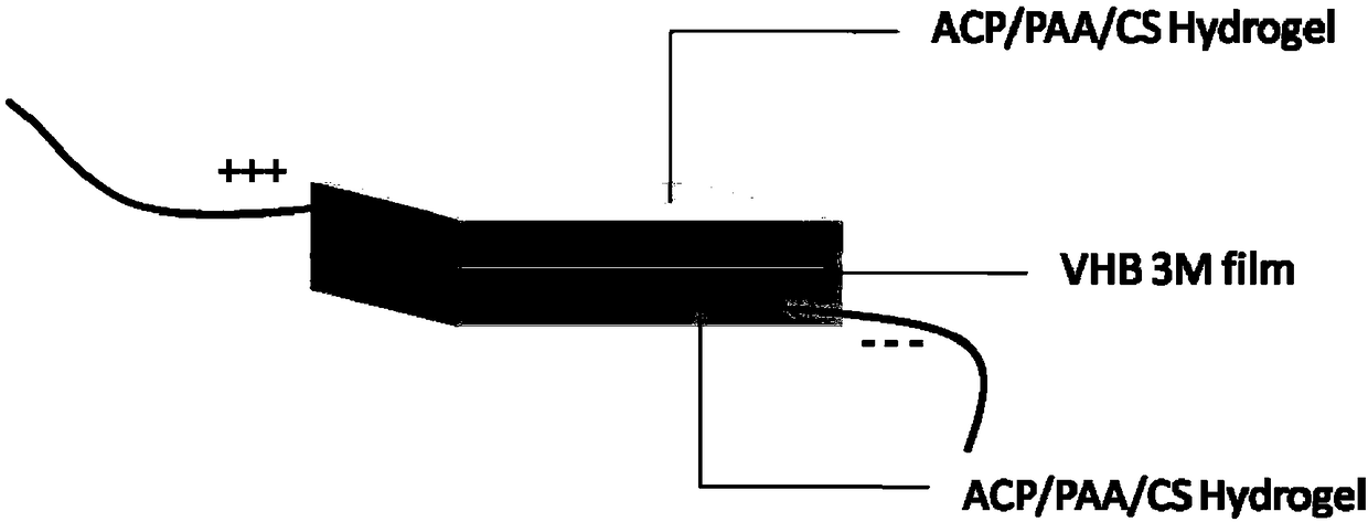 Mineralized hydrogel and preparation method and application thereof