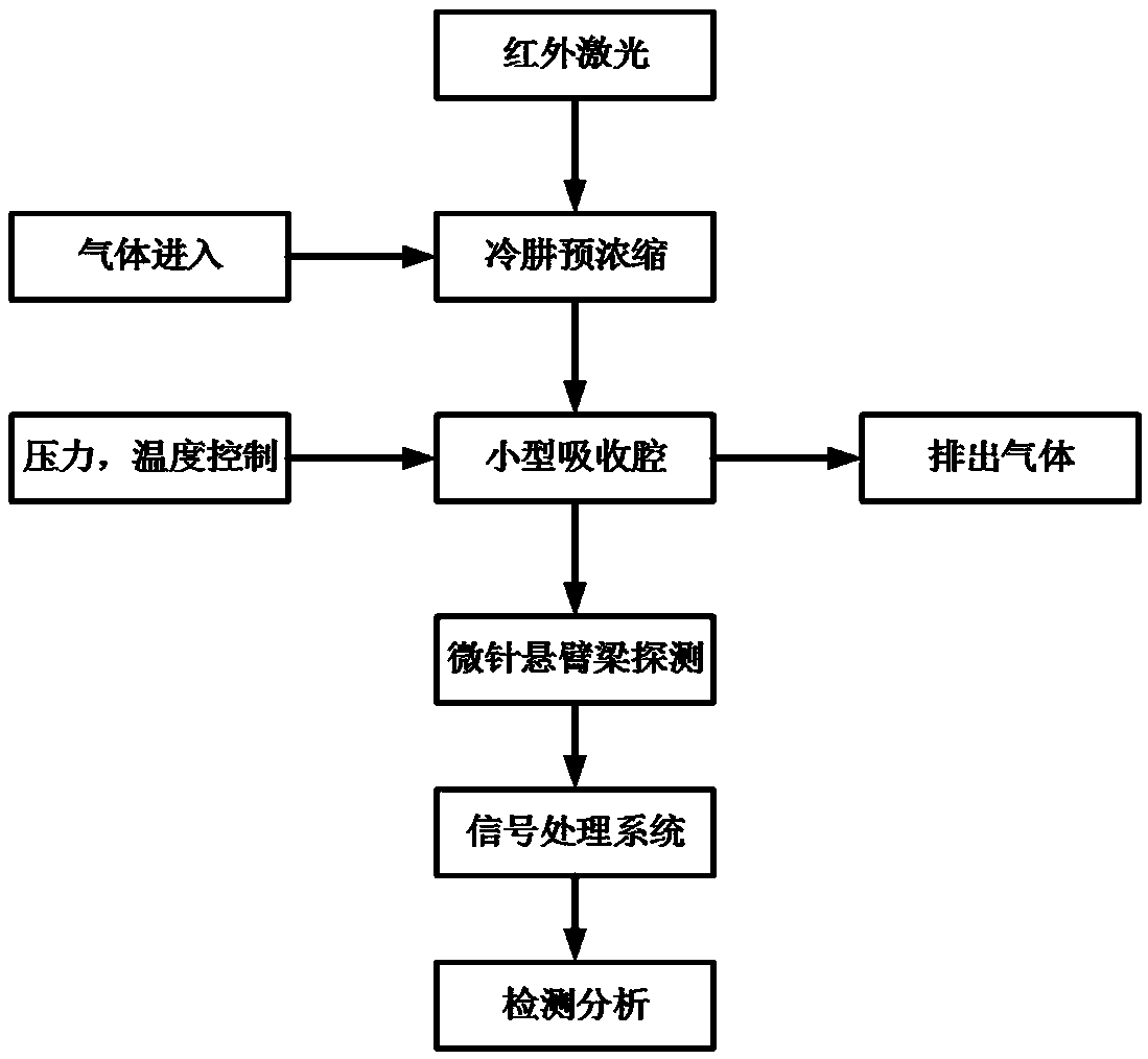 Gas detection system and method based on photoacoustic effect