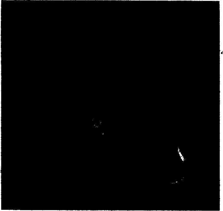 Fly ash brightening method