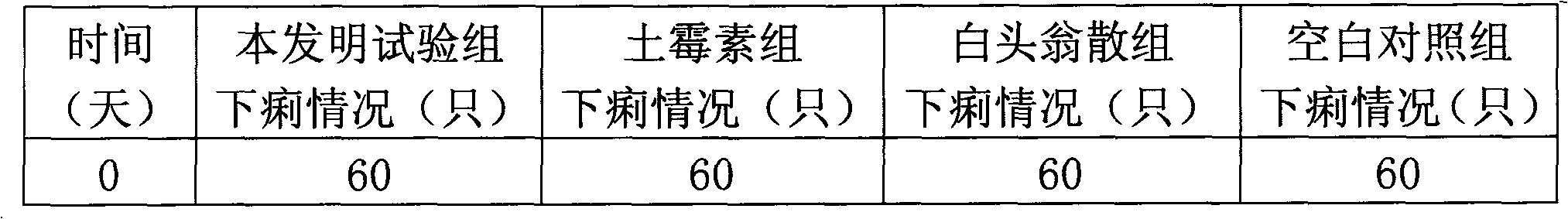 Traditional Chinese medicine composition for treating pullorum disease and preparation method of traditional Chinese medicine composition