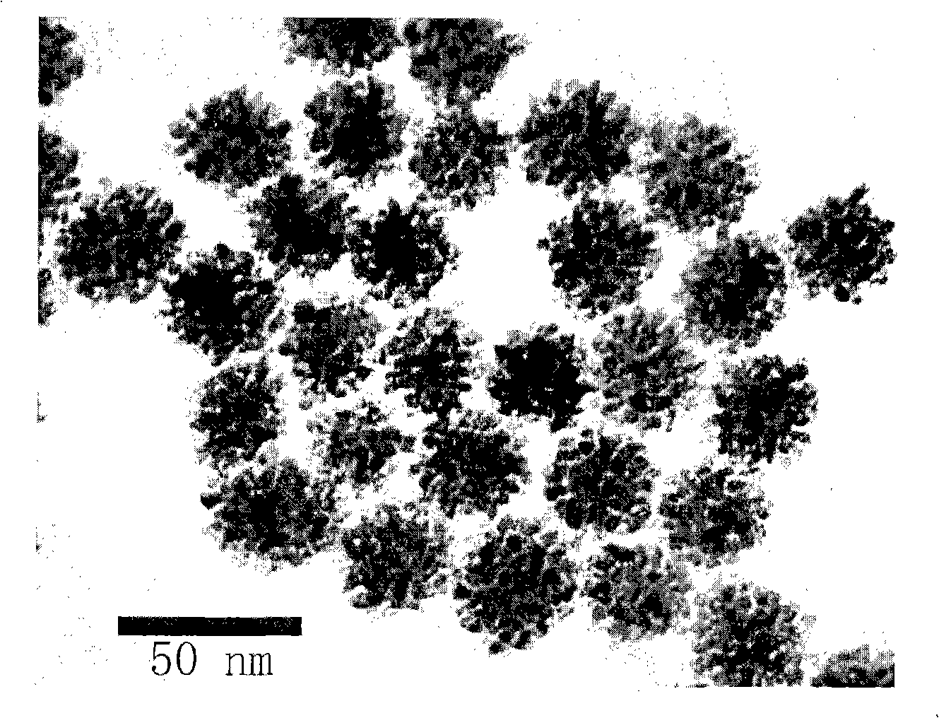 Method for preparing monodisperse flower-shaped gold/platinum hybrid nano particles having different particle diameters