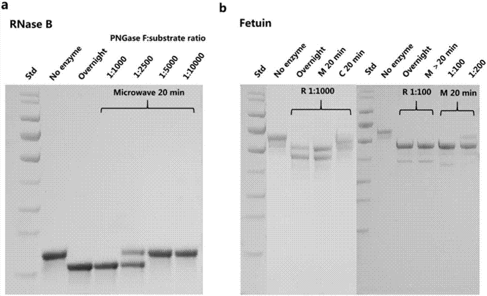 Method for rapid high-efficiency qualitative and quantitative analysis of N-sugar in virtue of high-performance liquid chromatography