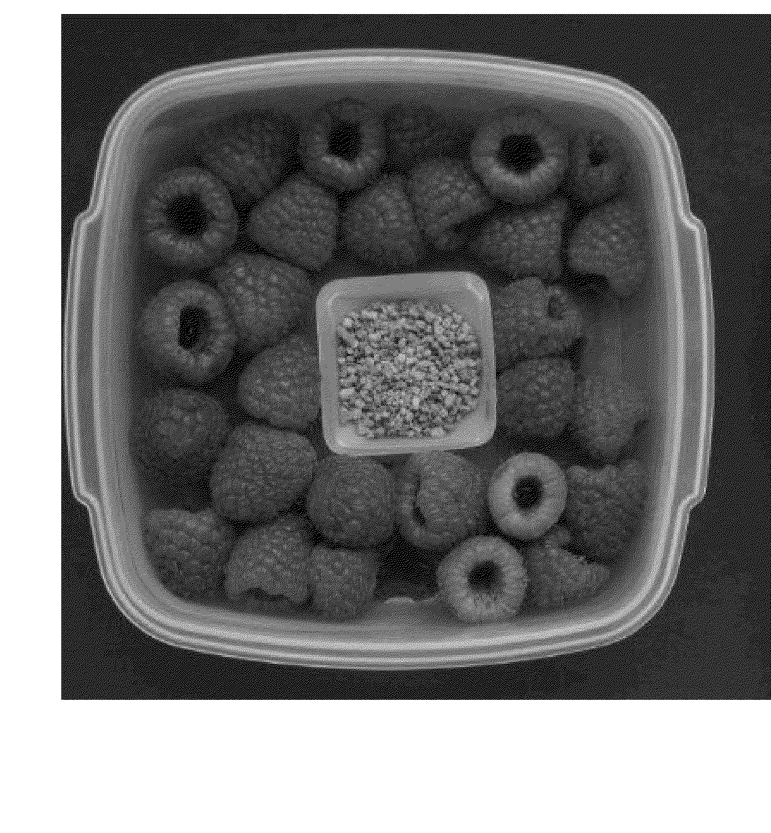 Antimicrobial Compositions and related methods of use