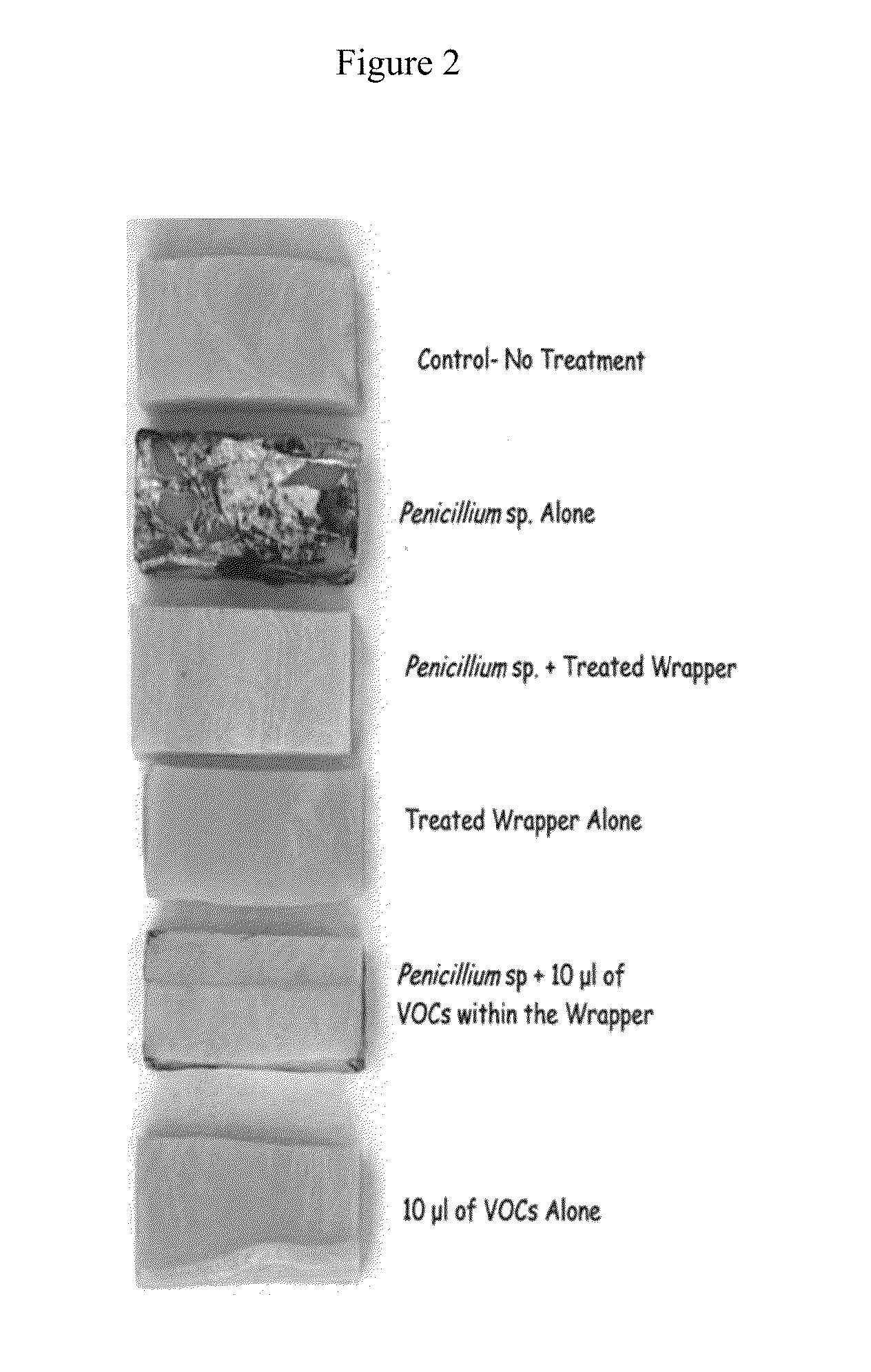 Antimicrobial Compositions and related methods of use