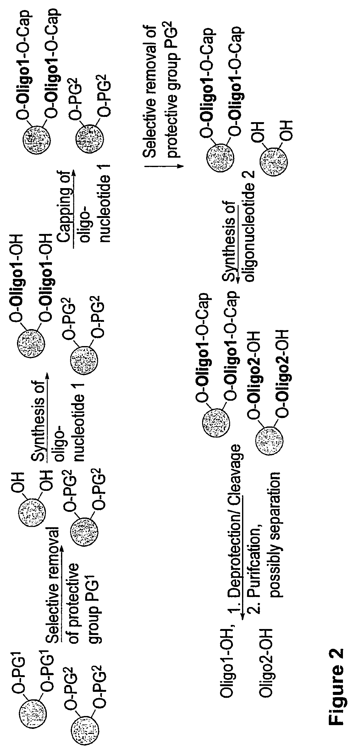 Methods and compositions for the tandem synthesis of two or more oligonucleotides on the same solid support