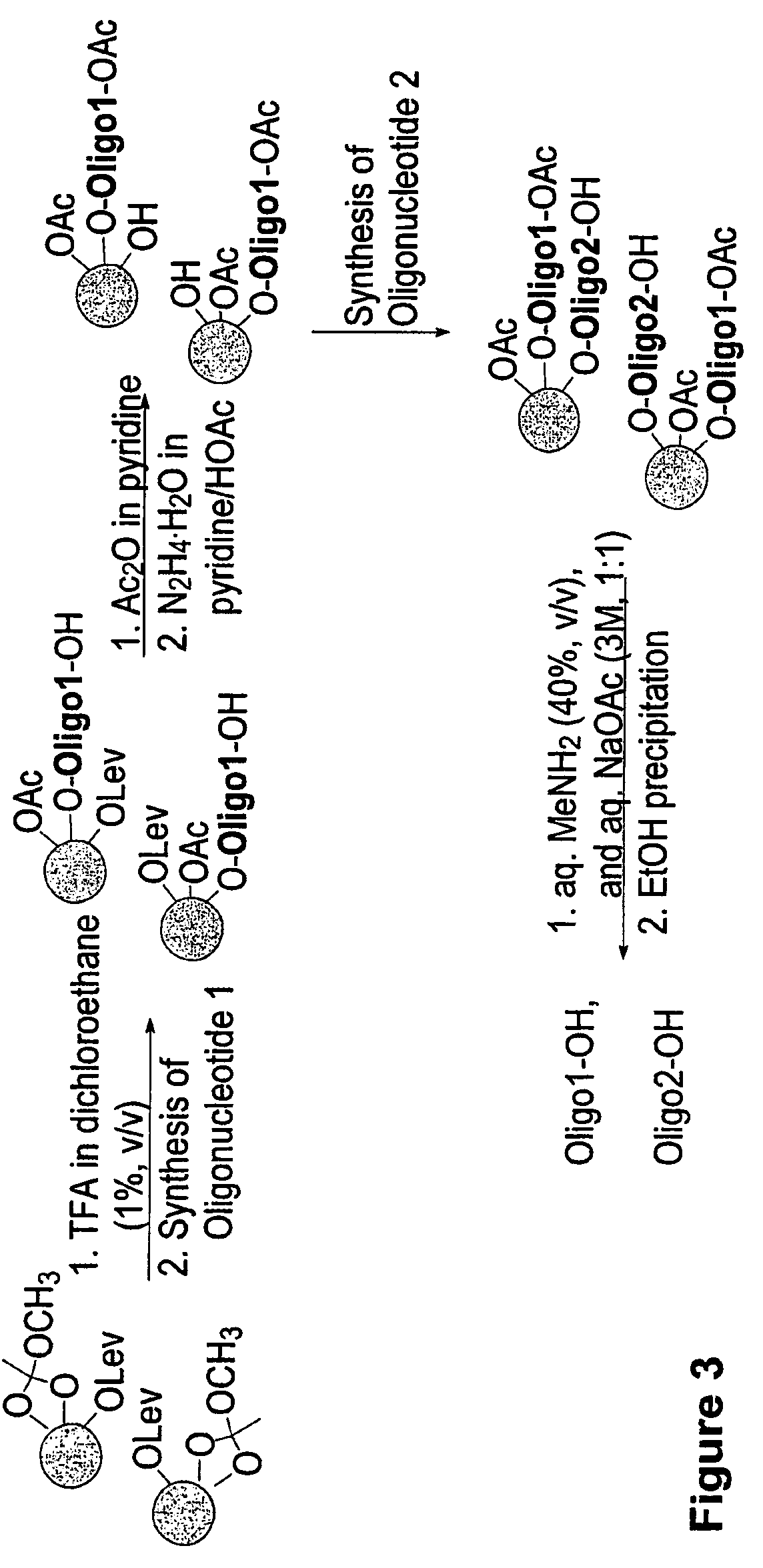 Methods and compositions for the tandem synthesis of two or more oligonucleotides on the same solid support