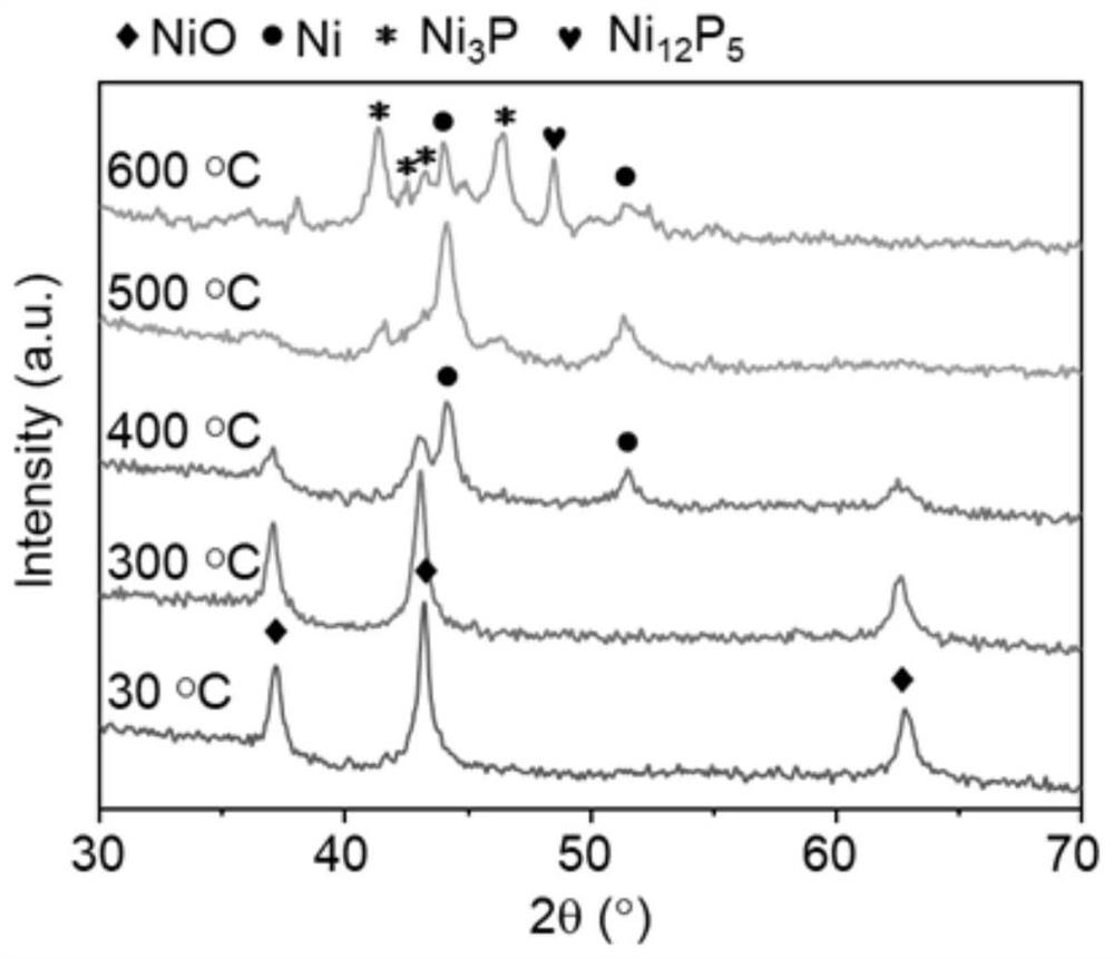 Catalyst for preparing methyl glycolate through hydrogenation of dimethyl oxalate and synthesis method and application of catalyst