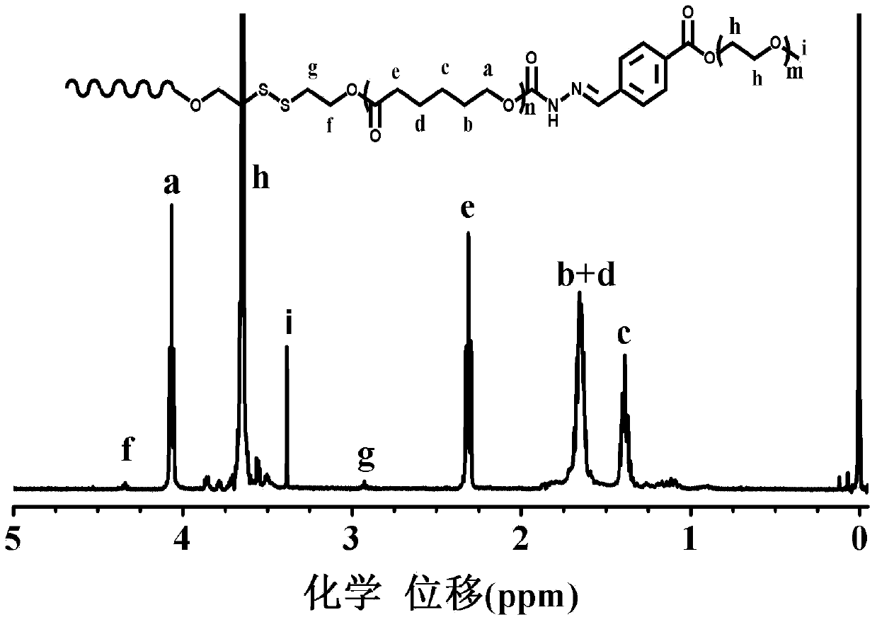 Dual sensitive amphiphilic triblock copolymer containing disulfide bond and acylhydrazone bond and preparation method and application of dual sensitive amphiphilic triblock copolymer