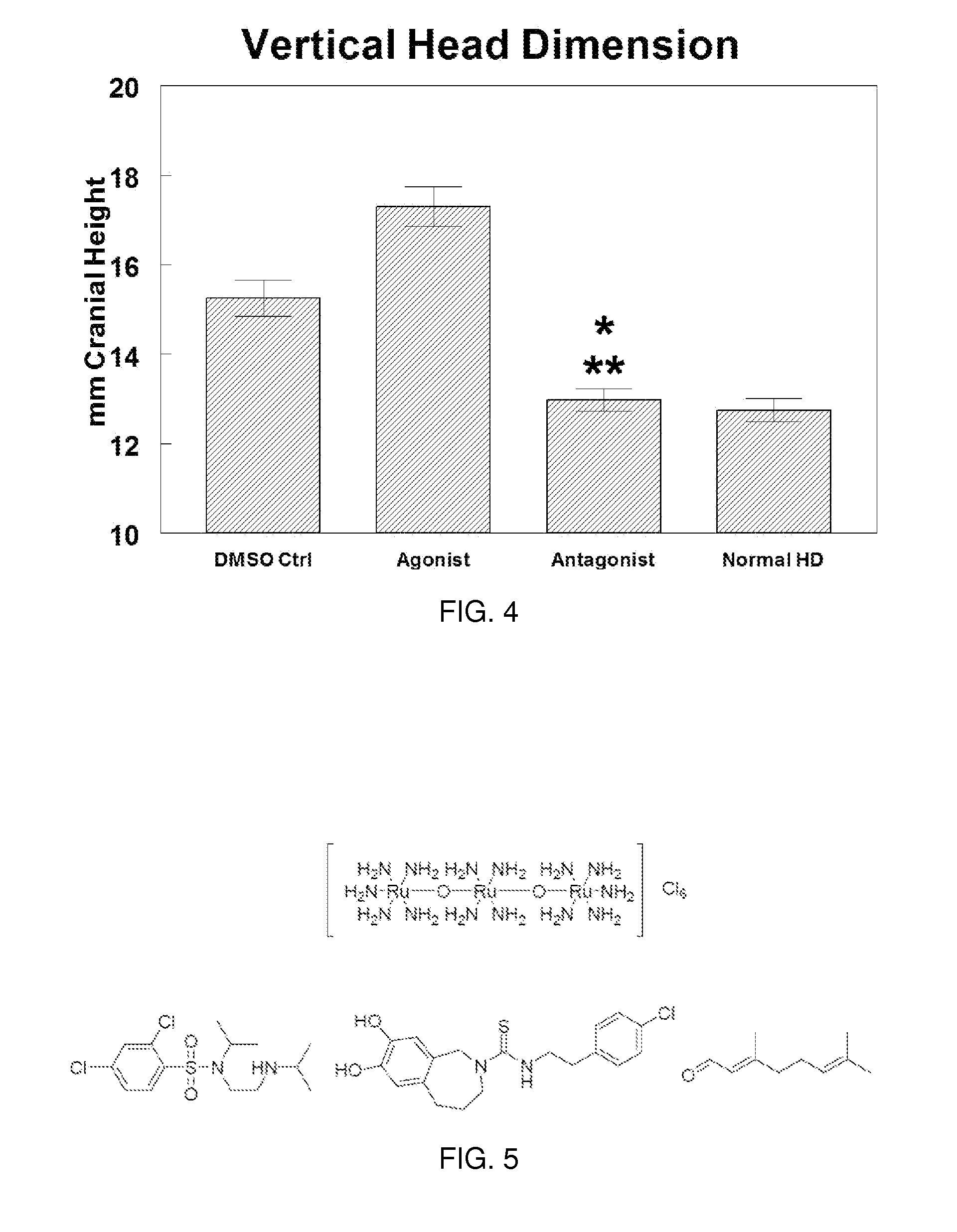 Use of TRPV4 Antagonists to Ameliorate Hydrocephalus and Related Materials and Methods