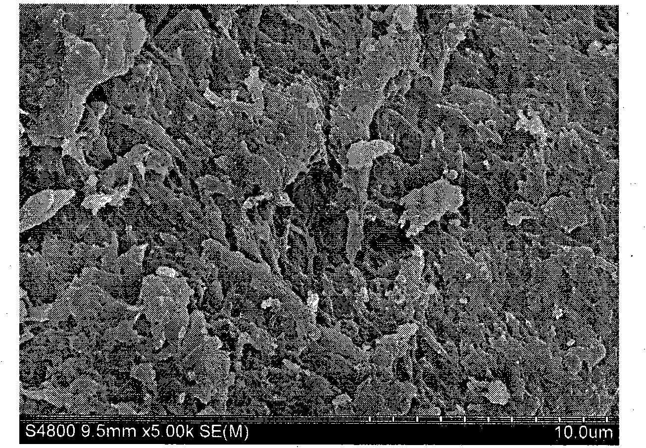 Method for preparing flocculant for treating papermaking black liquor by using waste collagen