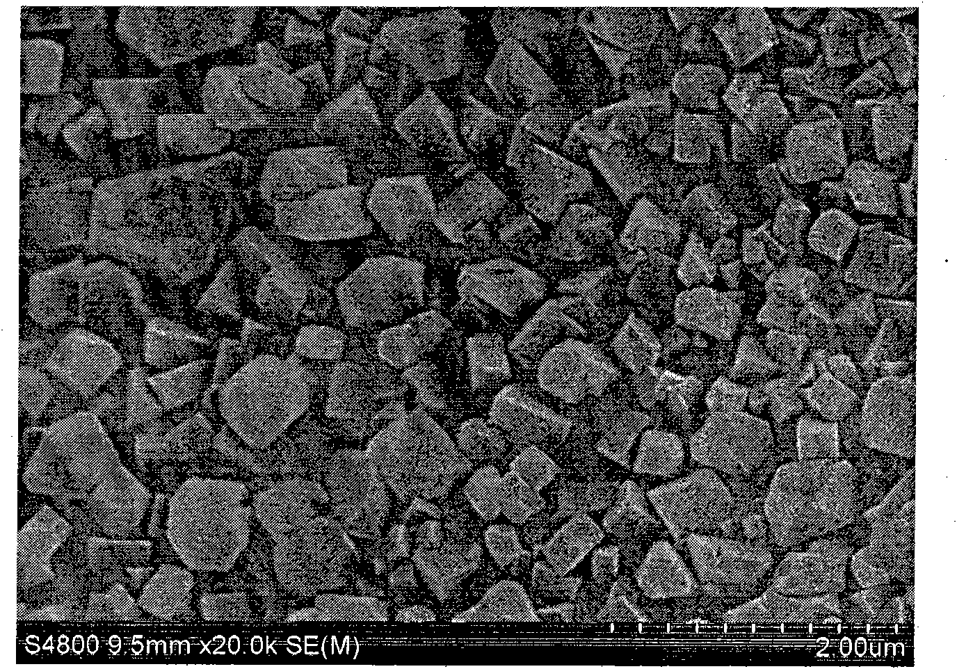 Method for preparing flocculant for treating papermaking black liquor by using waste collagen