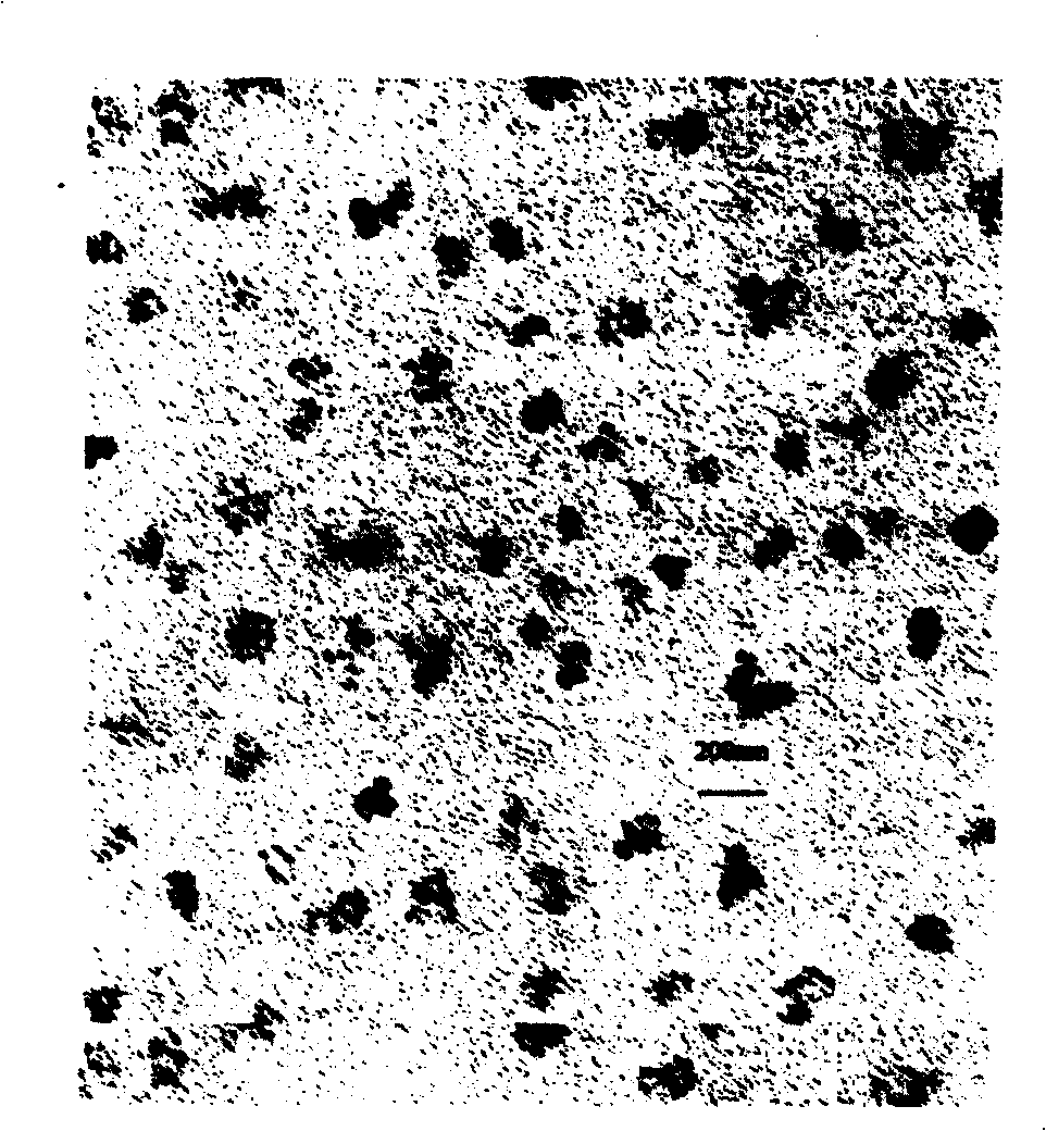 Asymmetric polymerase chain reaction technology based on nano particles