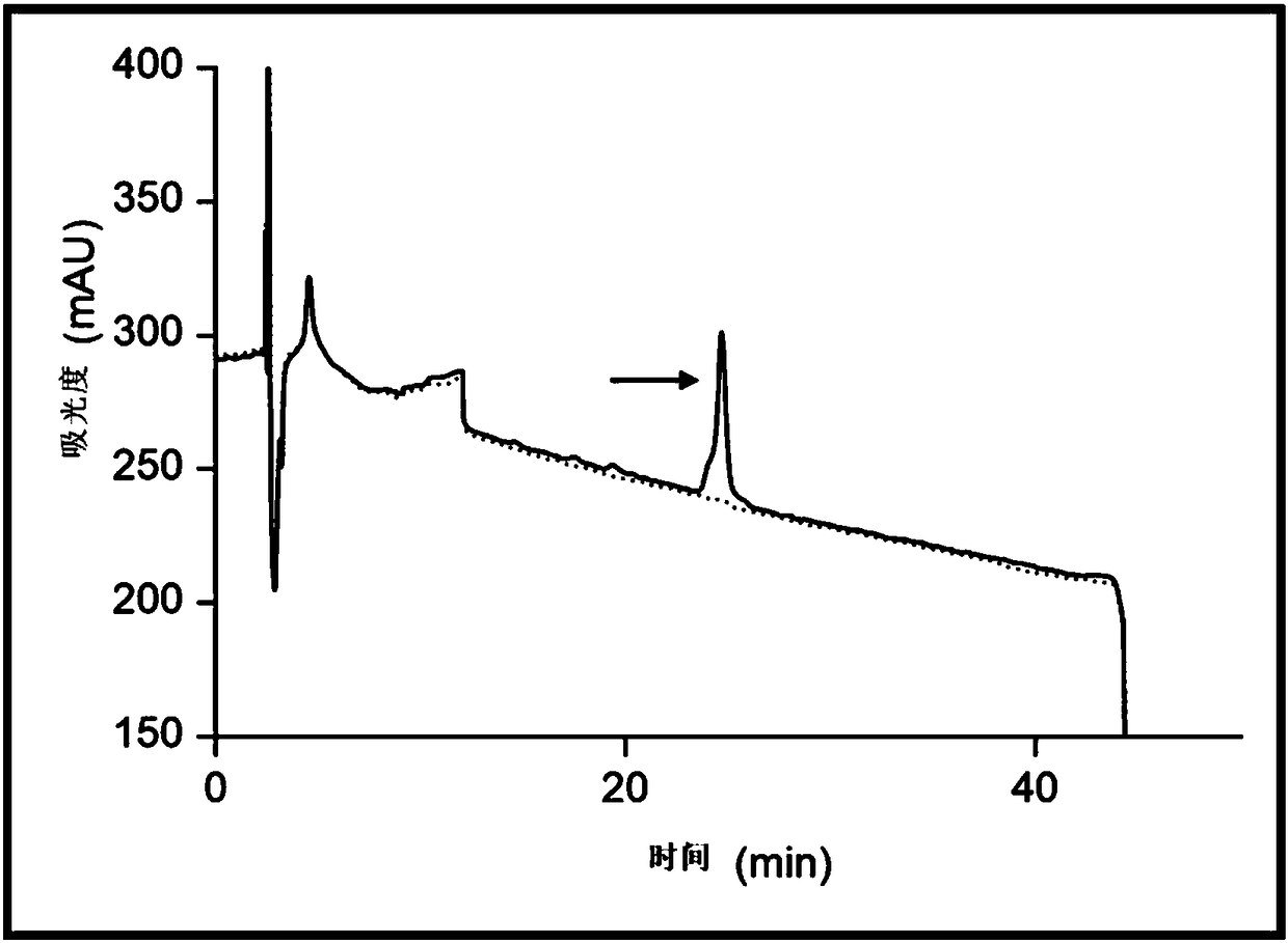 TFLFM (Fucoidan Lyase from Fucobacter marina) as well as preparation method and application thereof