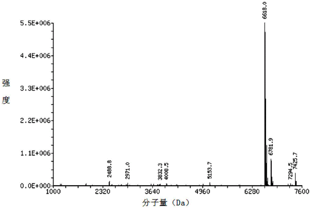 A kind of nucleic acid aptamer of docetaxel, nucleic acid aptamer derivative and use thereof