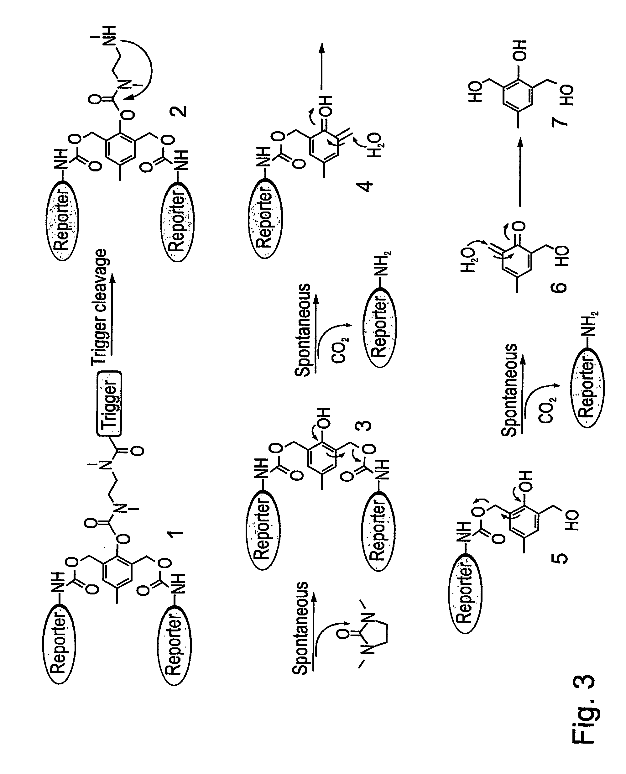 Self-immolative dendrimers releasing many active moieties upon a single activating event