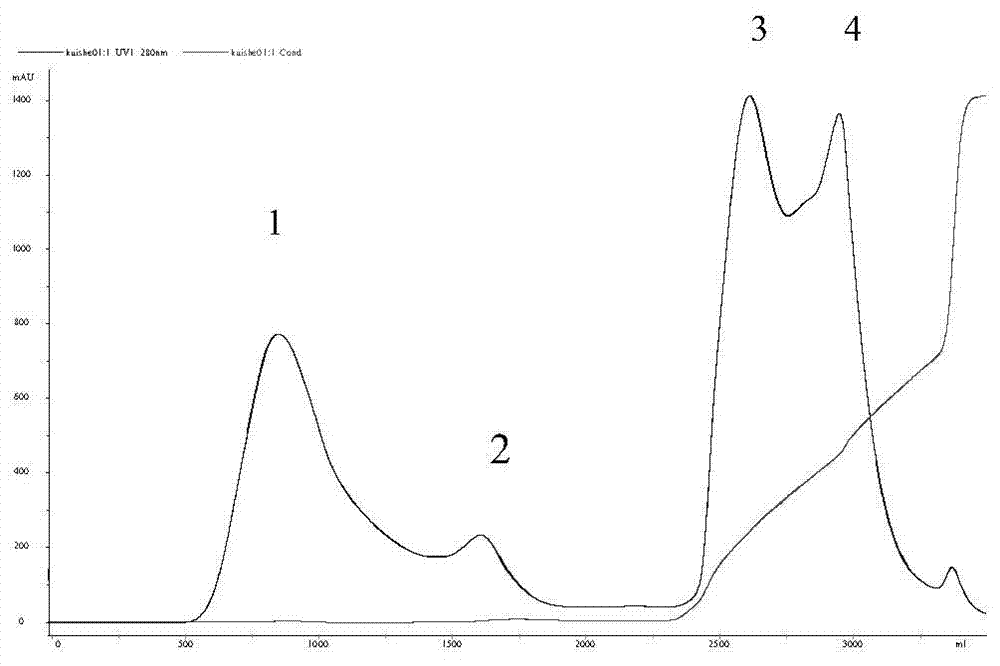 Preparation and use method of antibody resisting scorpion venom of buthus martensii karsch in China F (ab') 2