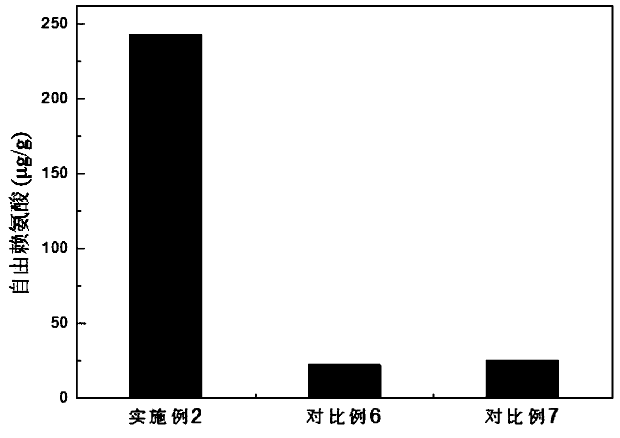 Seed initiator preparation method