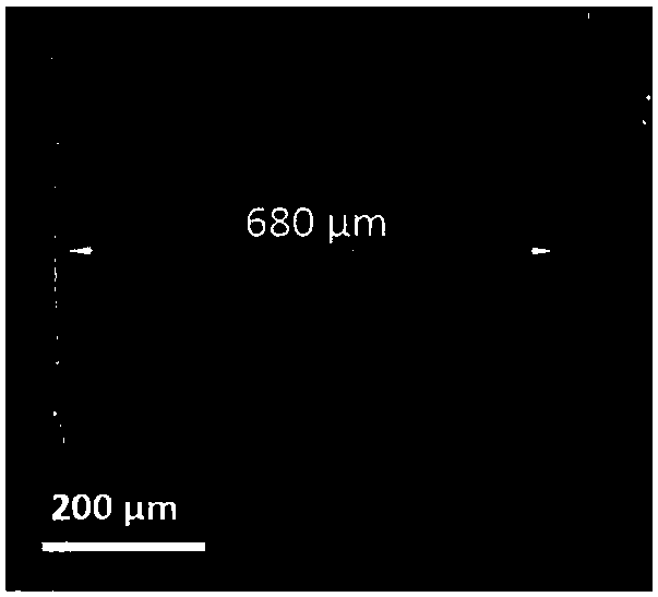 Nitrogen-doped carbon flexible paper and its preparation method and application