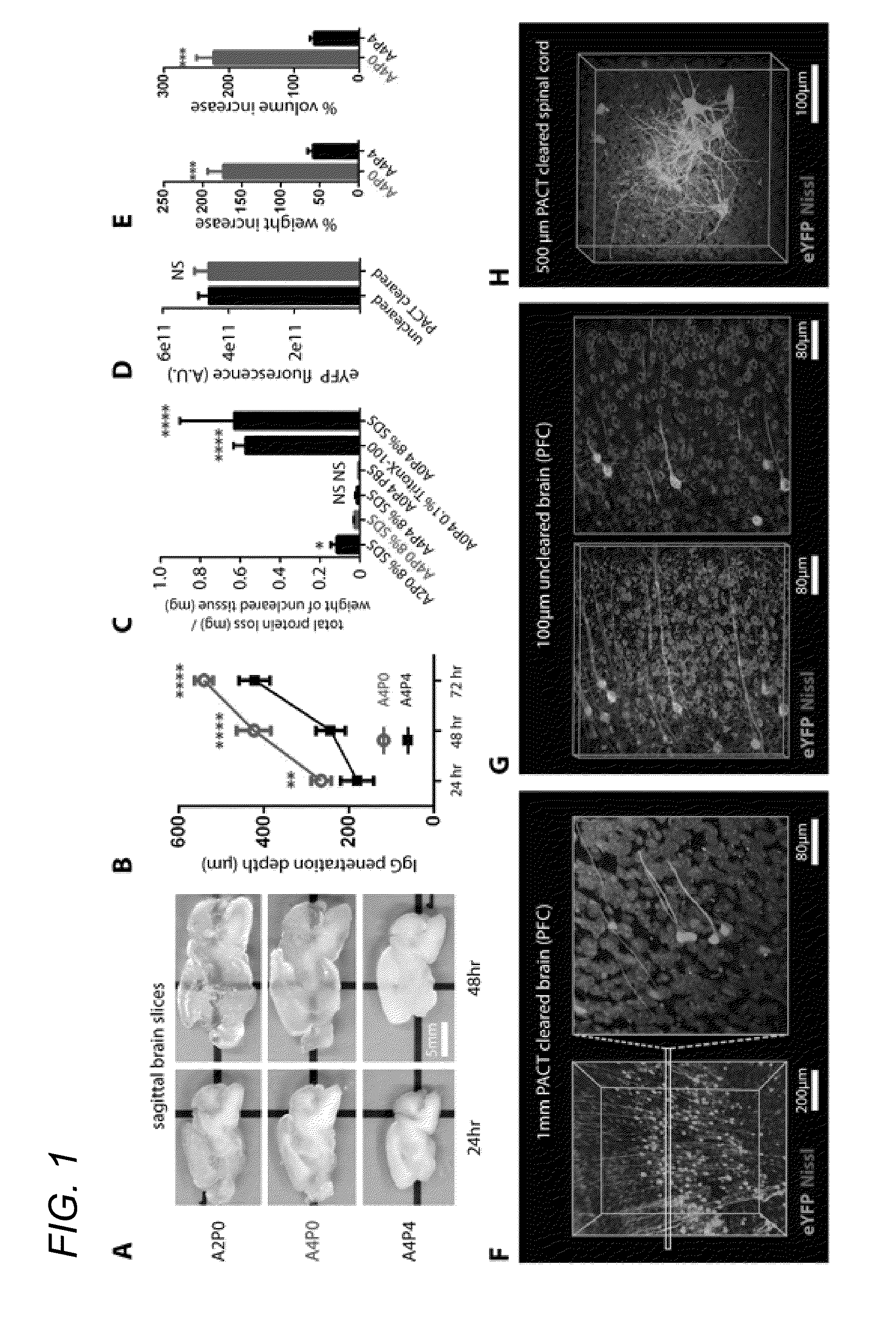 Methods for phenotyping of intact whole tissues