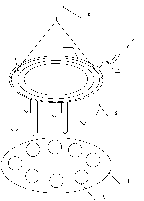 Edible mushroom inoculator