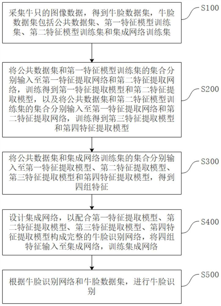 Cattle face recognition method, operation control device, electronic equipment and storage medium