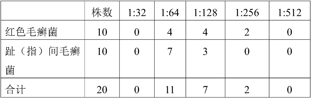 Traditional Chinese medicine composition for treating diseases caused by human papilloma virus and preparation method and applications thereof