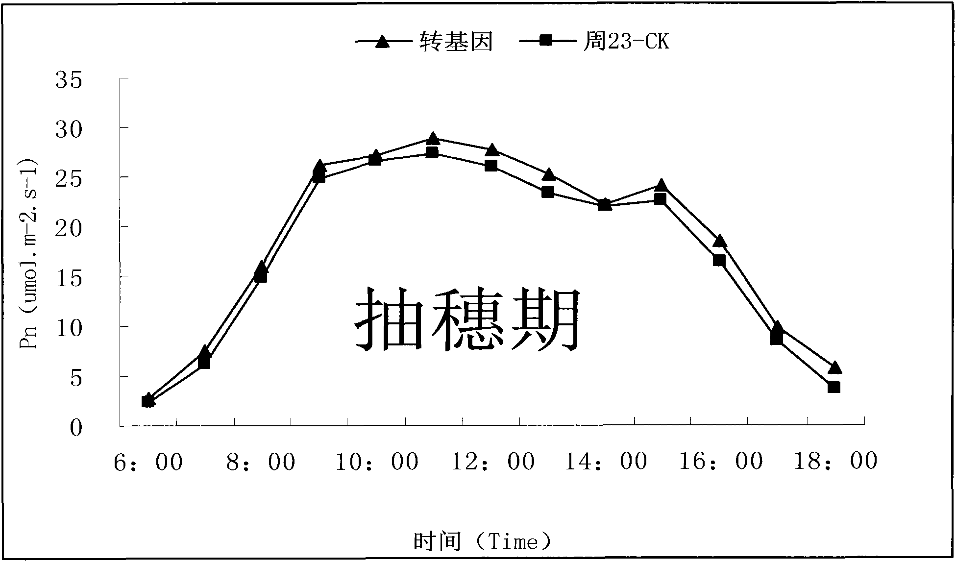 Malic enzyme (NADP-ME) gene and application thereof