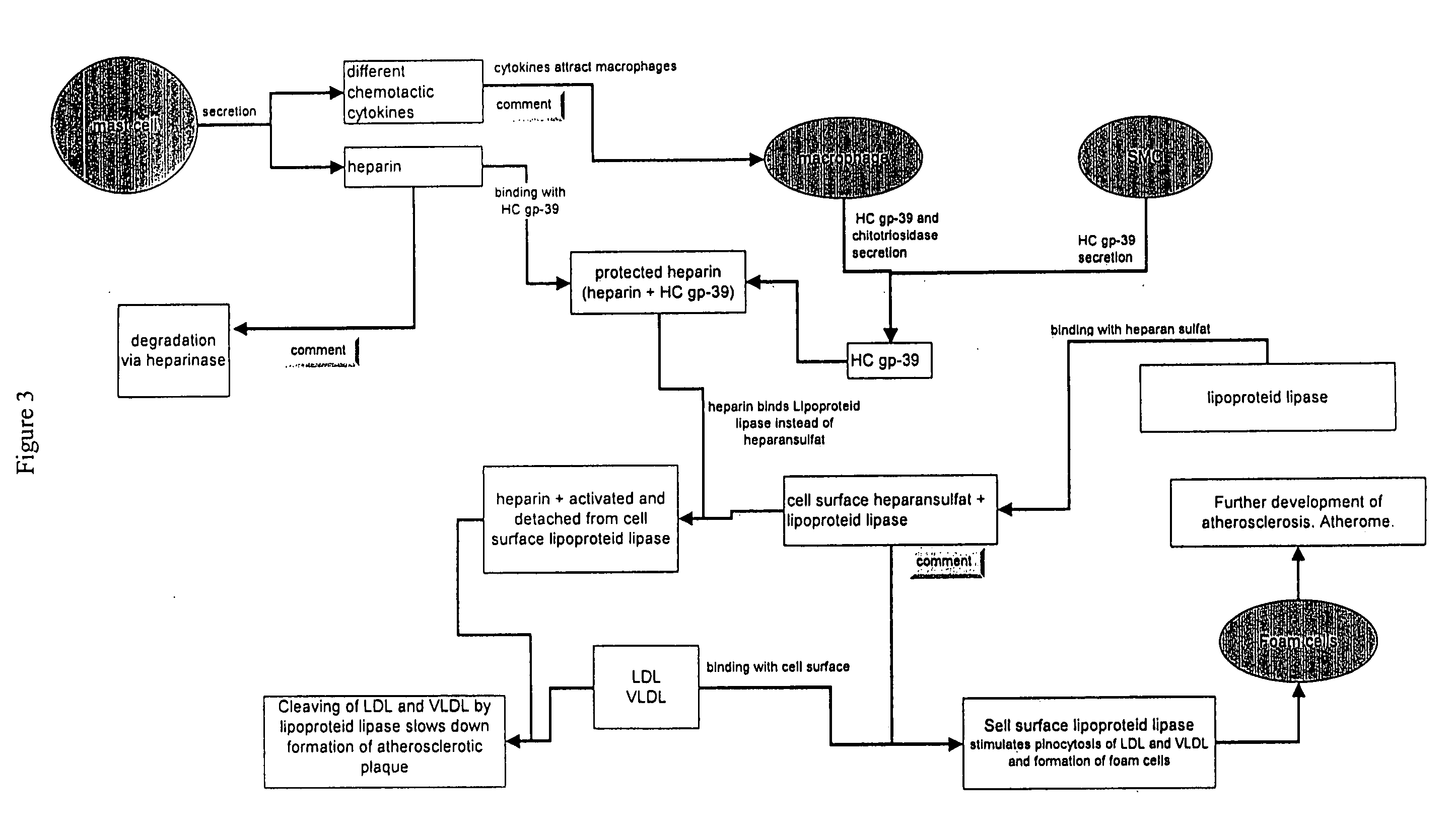 Methods for identification of novel protein drug targets and biomarkers utilizing functional networks