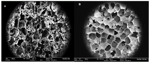 Culturing method for improving in-vitro differentiation phenotype and function of hepatic cells