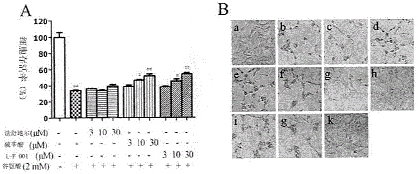 Fasudil-lipoic acid dyad and application thereof