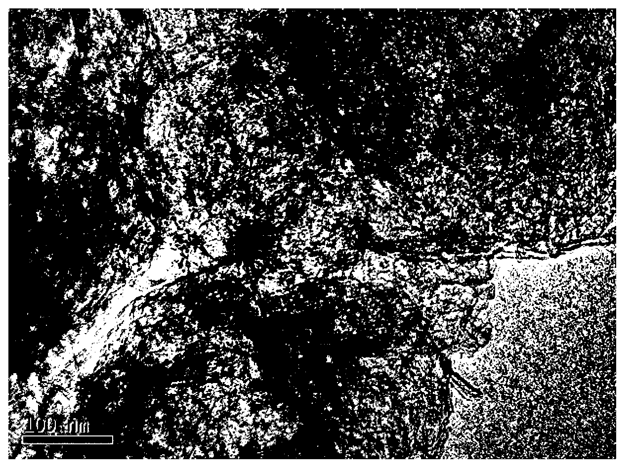 Preparation method of carbon nanometer tube-graphene composite material