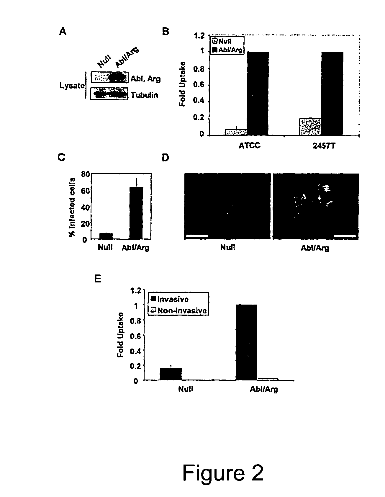 Method of treating infection with ABl tyrosine kinase inhibitors