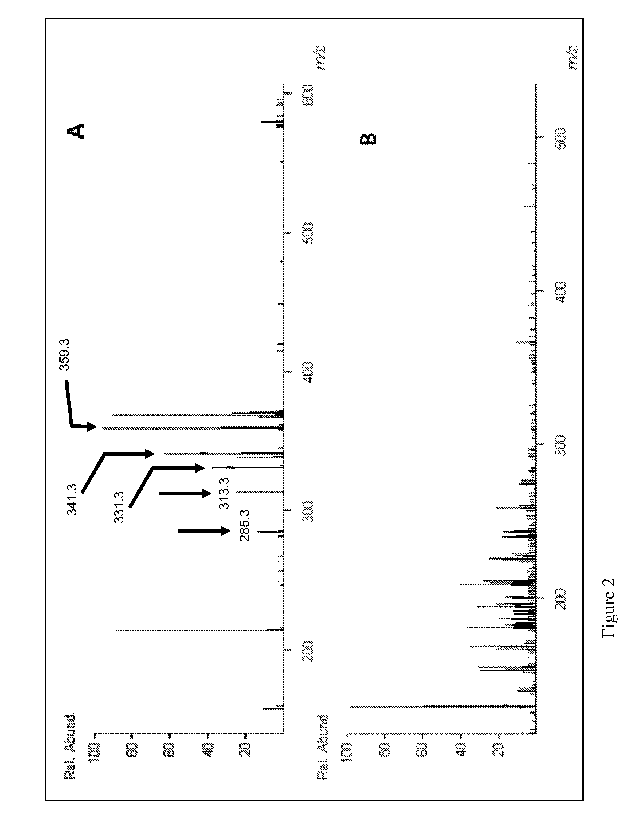 Antiinfective Flavonol Compounds and Methods of Use Thereof