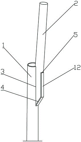 Multi-layered grafted tree and grafting method