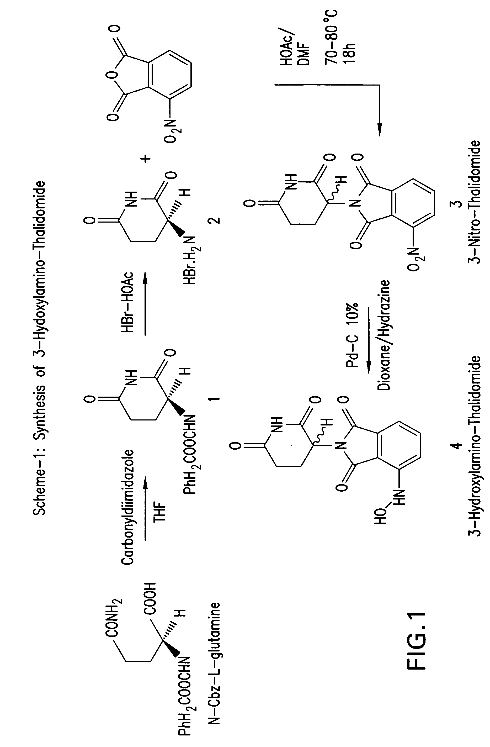 Synthesis and anti-tumor activity of nitrogen substituted thalidomide analogs