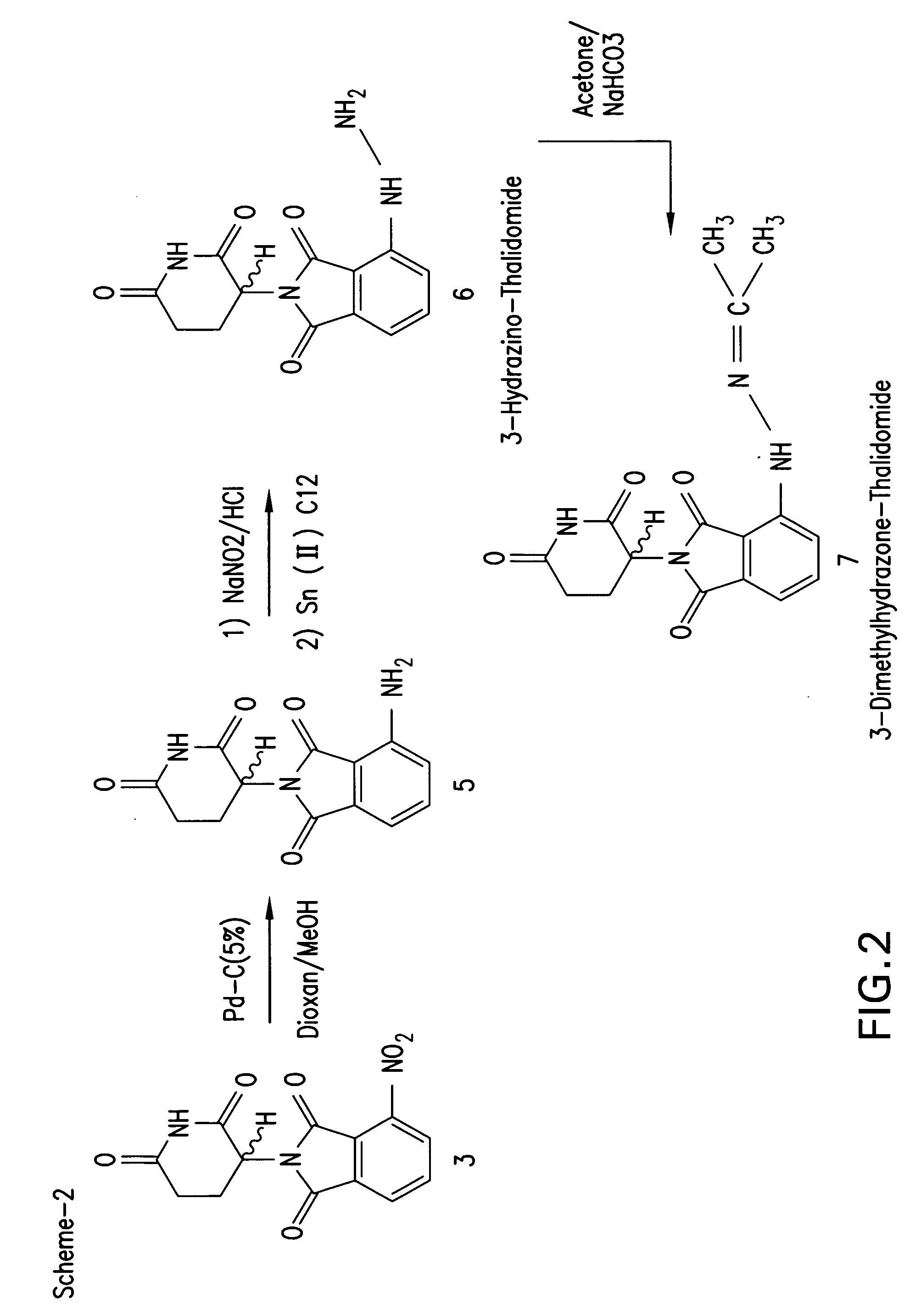 Synthesis and anti-tumor activity of nitrogen substituted thalidomide analogs