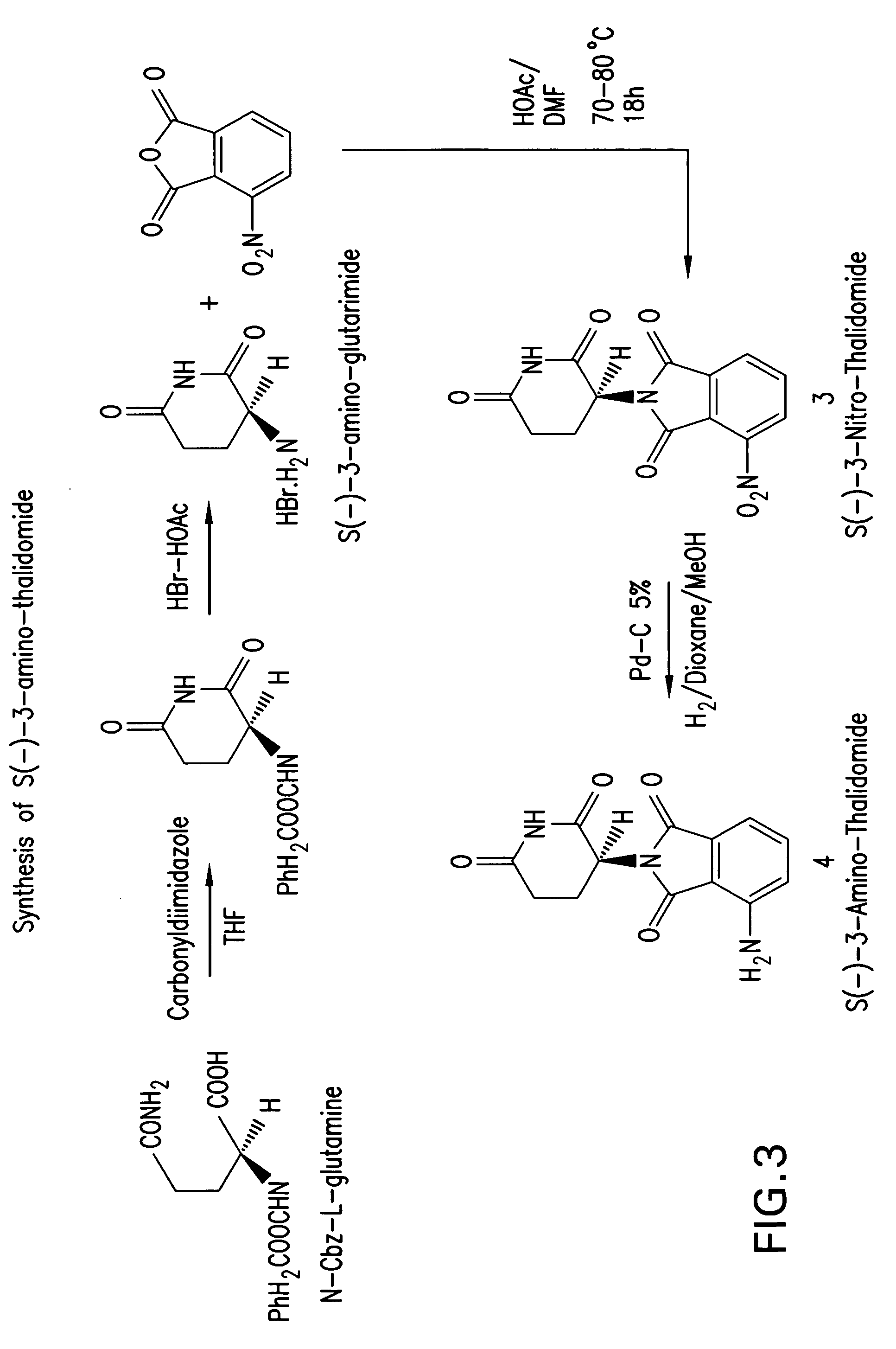 Synthesis and anti-tumor activity of nitrogen substituted thalidomide analogs