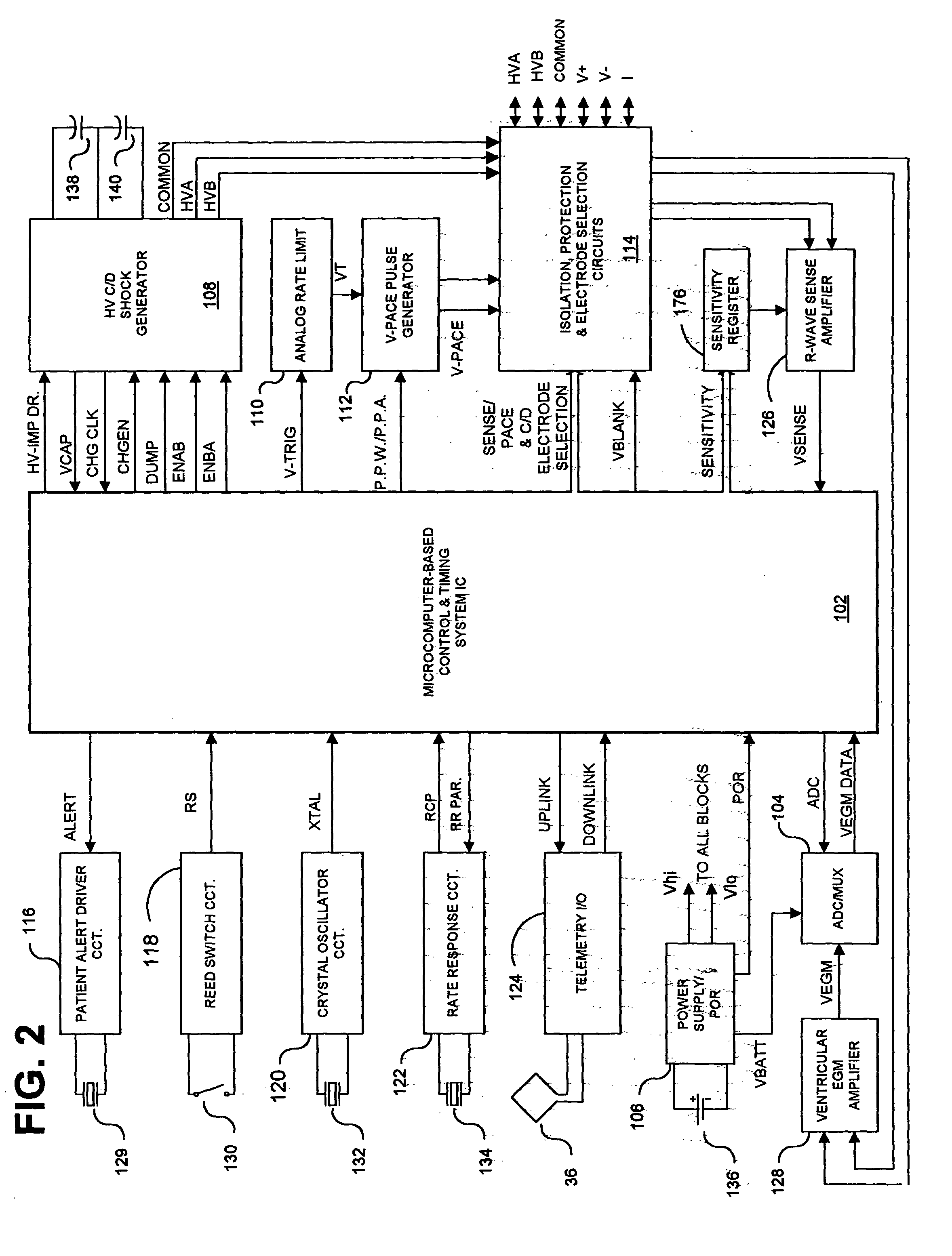 Methods and apparatus for discriminating polymorphic tachyarrhythmias from monomorphic tachyarrhythmias facilitating detection of fibrillation