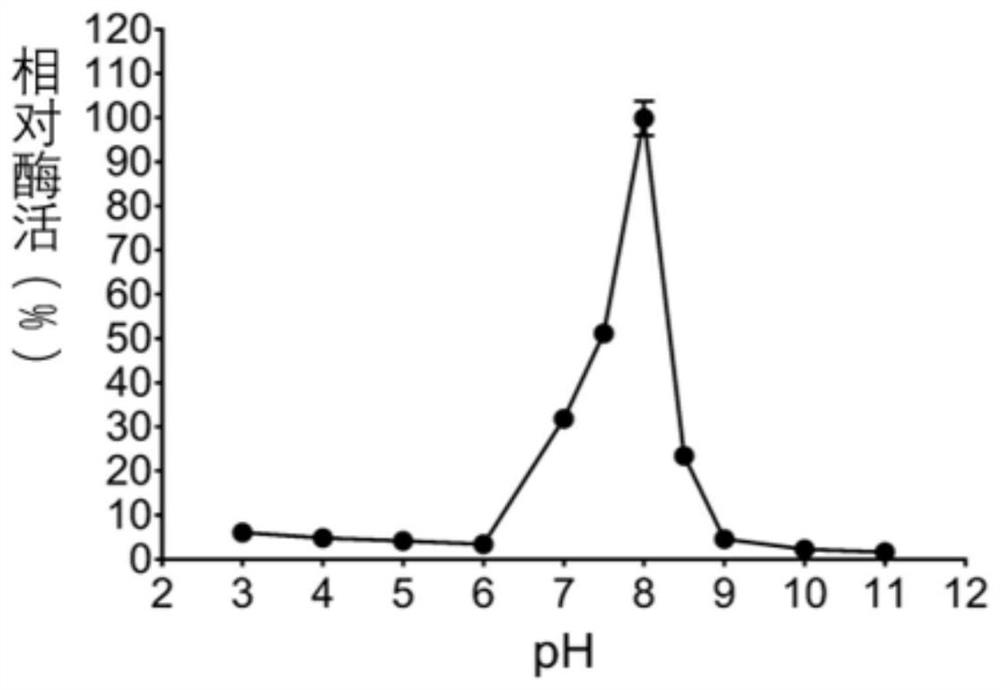 Mannase gene VbMan26A, recombinant plasmid, recombinant strain, mannase and application thereof