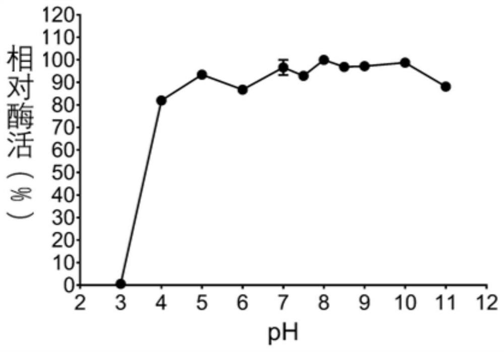 Mannase gene VbMan26A, recombinant plasmid, recombinant strain, mannase and application thereof