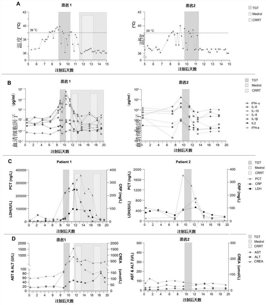 Application of tripterygium glycosides tablets in the preparation of medicines for the treatment of cytokine release syndrome induced by CAR-T