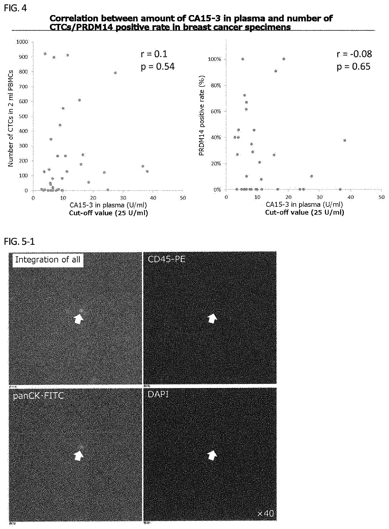 Method for confirming prdm14 expression